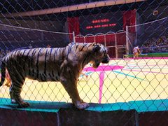 -西安秦岭野生动物园