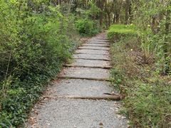 -新江湾城公园