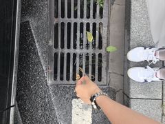 -英派斯健身(海信国际中心馆)