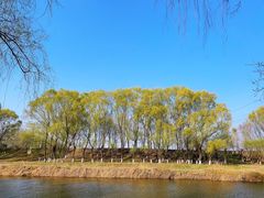 -蒲河岛湿地公园