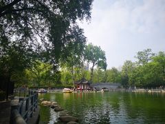 -老金家蛋菜夹馍(西安总店)