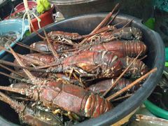 android_upload_pic-D'Talipapa