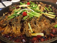 -老板恋上鱼(恒隆广场店)