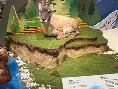 -香港科学馆