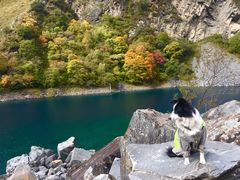 -叠溪松坪沟景区