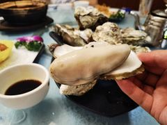 桑拿蠔-天宝食坊·啫啫煲大排档(西华路店)