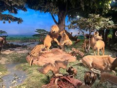 -国家自然博物馆