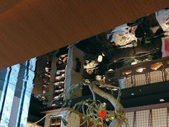 -桂满陇·海市蜃楼·黑金(国金店)