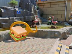 -西霞口神雕山野生动物世界