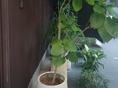 -阿伟海鲜楼·福建菜(涵江店)