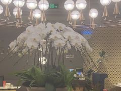 -鹿港小镇(霄云店)