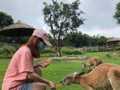 -泉州海丝野生动物世界
