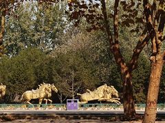 -石家庄市植物园