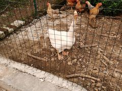 -太湖好灶头土菜馆(石公路店)