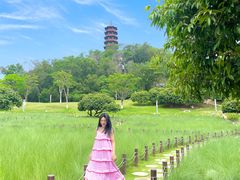 -红花山公园