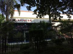 -暨南大学（广州石牌校区）邵逸夫体育馆