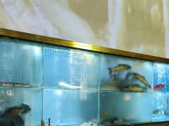 -顺峰顺水顺德菜(龙华店)