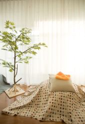 -星宝贝儿童摄影