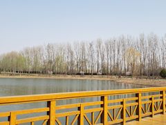 -东郊湿地公园