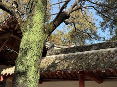 -南阳卧龙岗武侯祠