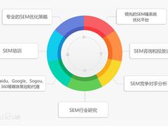 SEM-珍岛信息技术（上海）股份有限公司