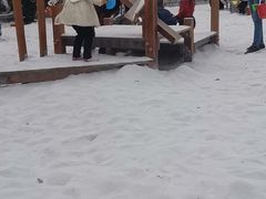 -映月湖中央公园