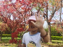 -龙口南山旅游景区