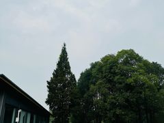 -蜀绣公园