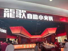 -龍歌自助小火锅(雨花台江南虹悦城店)