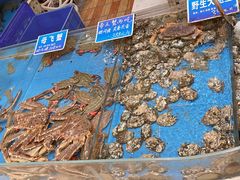 -双井轩(双井店)
