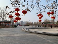 -莲花池公园