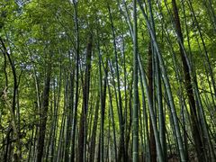 -敬亭山风景名胜区