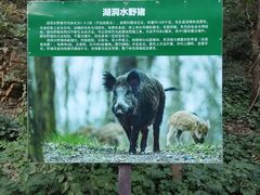 -湖洞水自然风景区