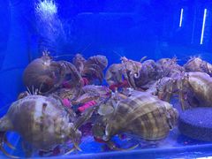 -老虎滩大连海鲜烧烤(建邺云锦路总店)