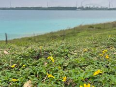 -露天矿生态公园