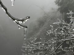-白云源风景区