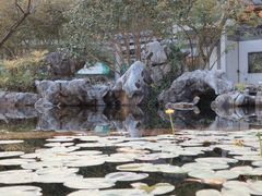 -杭州植物园