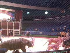 -西安秦岭野生动物园