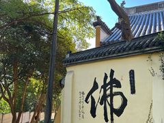 -赭山公园