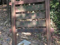-火炉山森林公园