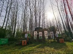 -林间山庄