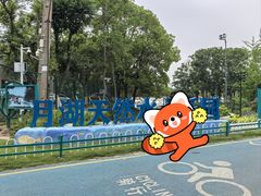 -古琴台