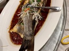 -自助火锅筷乐食代自助餐厅(金辰店)