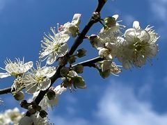 -广州市流溪河国家森林公园