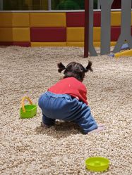 -meland亲子乐园·派对·研学(淄博万象汇店)