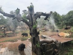 -海南热带野生动植物园