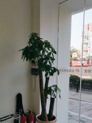-苗方清颜专业祛痘·皮肤管理
