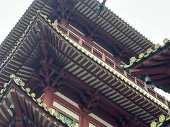 -新加坡佛牙寺龙华院