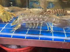 -醉壹号海鲜大排档(厦门美食地标店)