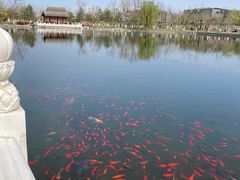 -西海子公园
